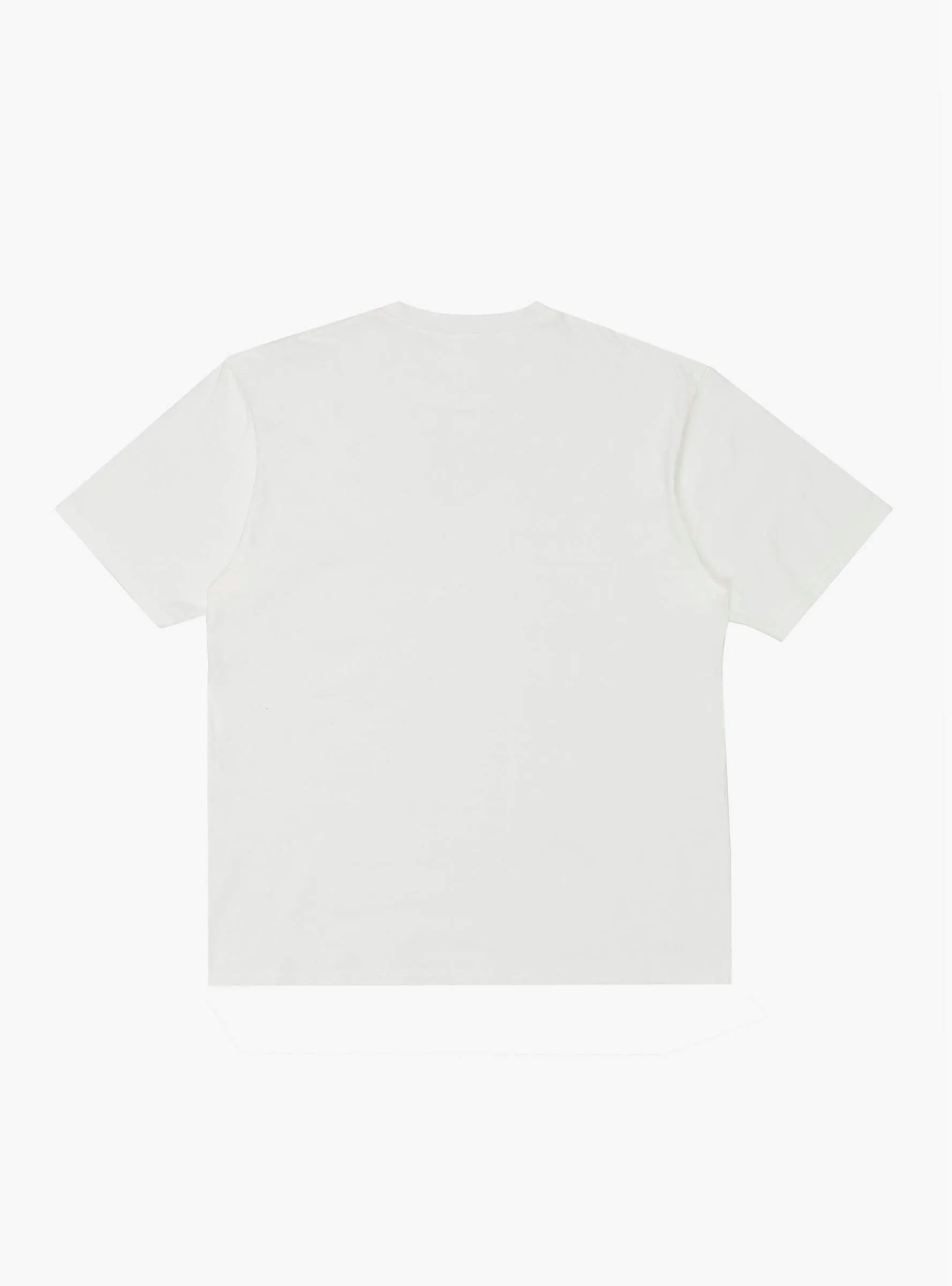20 Jersey Crew T-Shirt Peckish Little Bear White