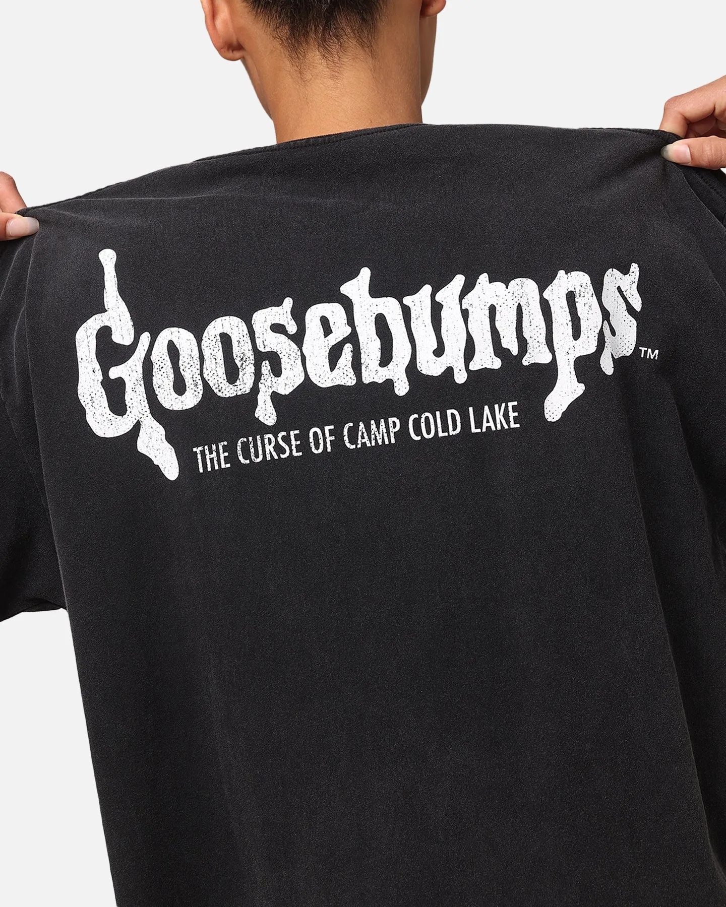 American Thrift X Goosebumps Cold Lake Heavy T-Shirt Vintage Black
