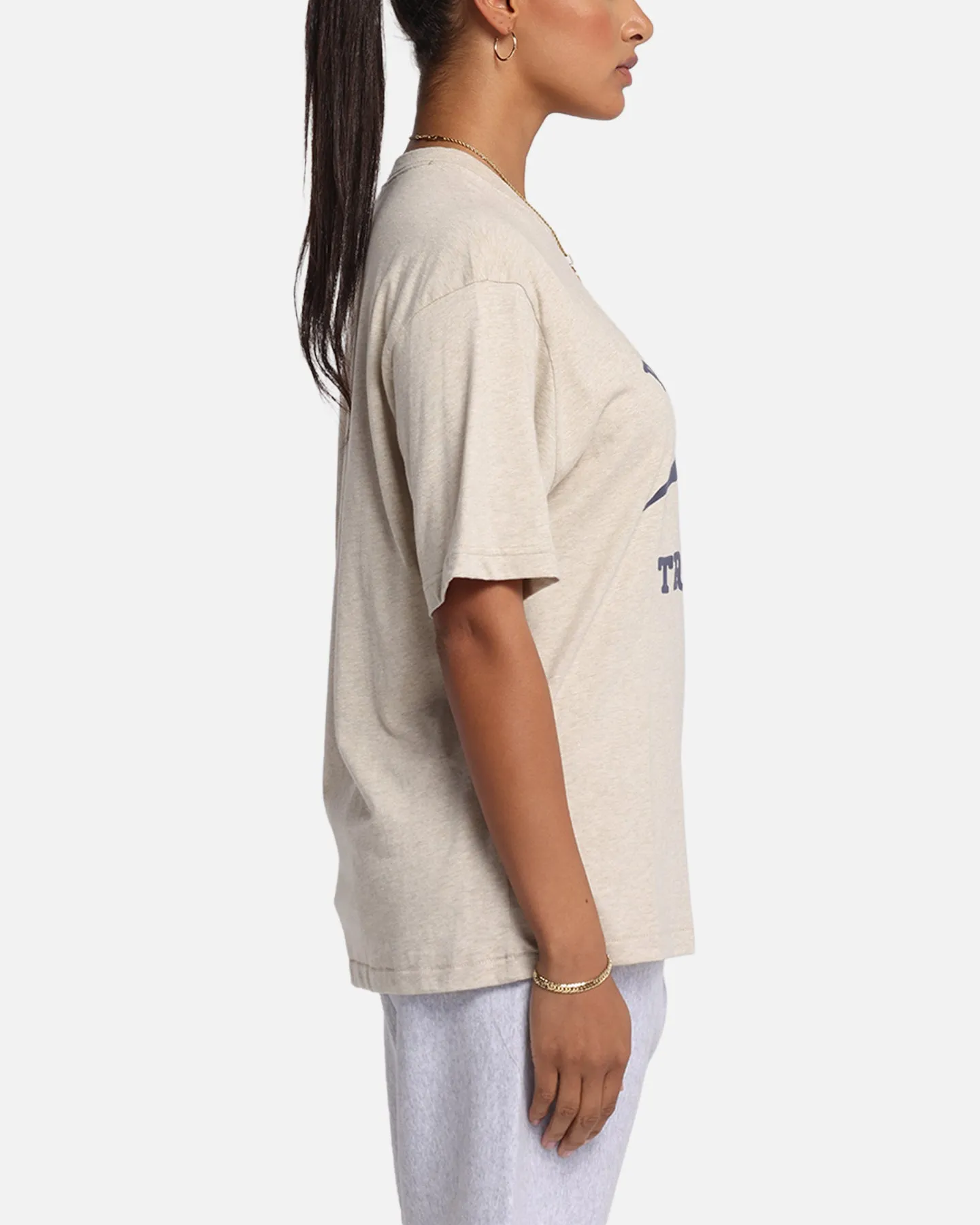 Champion Vintage Mix P.E Class T-Shirt Oatmeal Heather