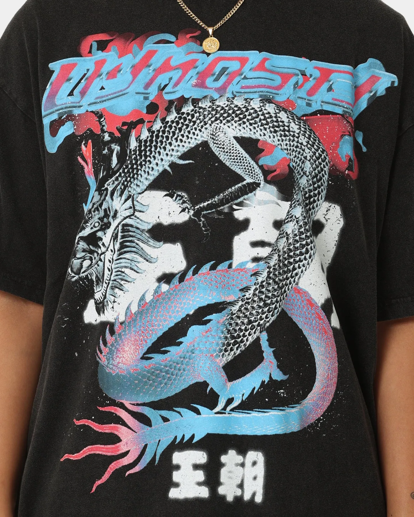 Loiter Dynasty Vintage T-Shirt Vintage Black