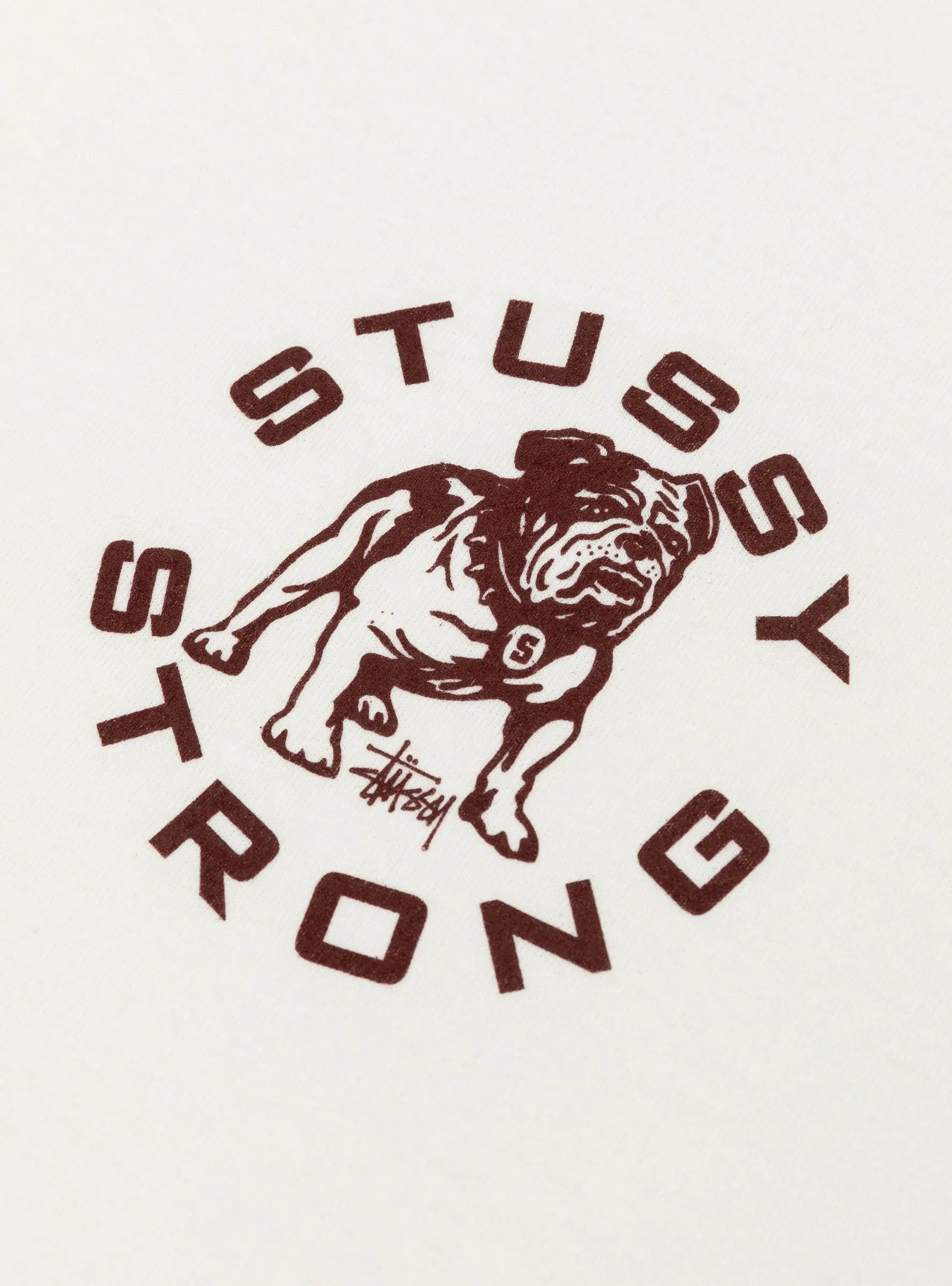Strong Mac Pig. Dyed Tee Natural